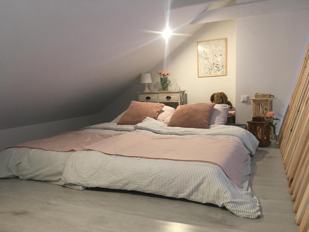 Apartament Z Antresola Okszow Dış mekan fotoğraf